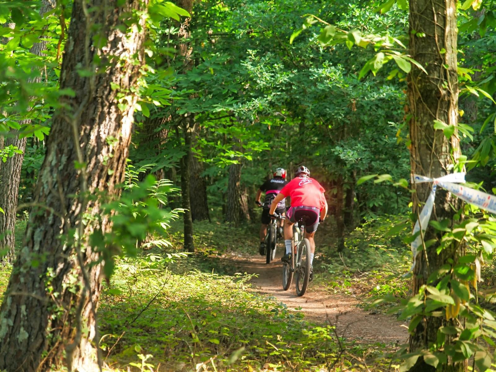 24h vtt 2025 photo 4