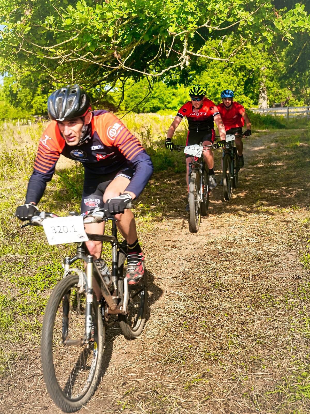 24h vtt 2025 photo 2